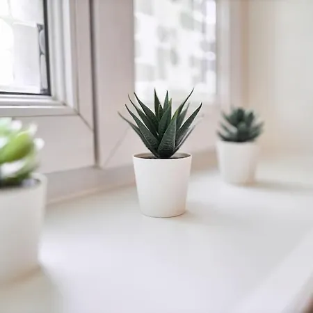 Appartement Le Petit Marceaux - T1 - Confort