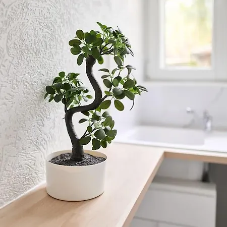 Appartement Le Petit Marceaux - T1 - Confort Reims