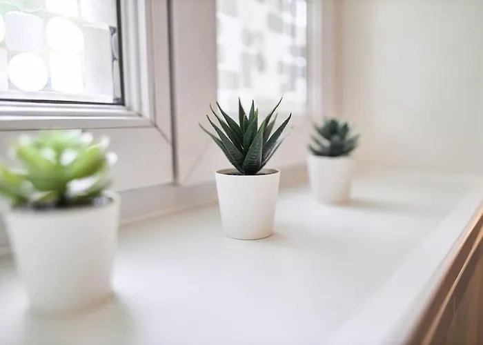 דירה Le Petit Marceaux - T1 - Confort