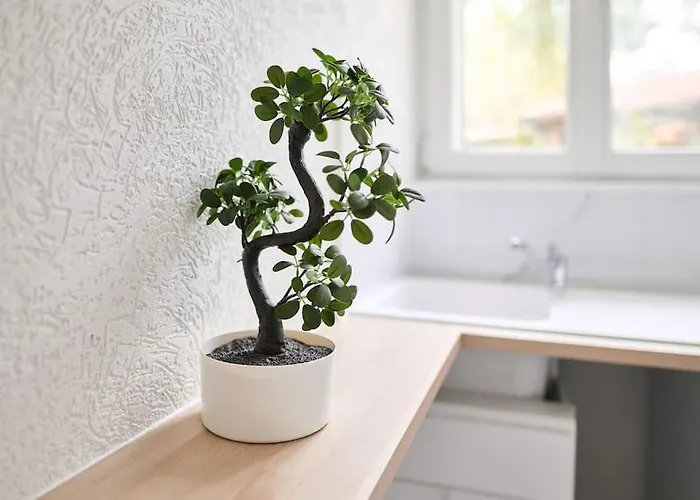 דירה Le Petit Marceaux - T1 - Confort ריימס